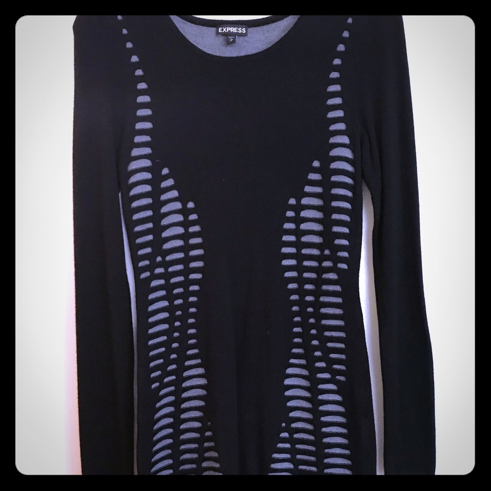 Express sweater dress